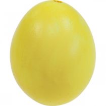 daiktų Velykiniai kiaušiniai Geltonai išpūsti kiaušiniai Vištienos kiaušinis 5,5 cm 10 vnt