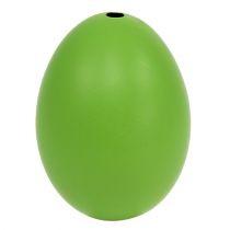 daiktų Vištienos kiaušiniai 5,5cm - 7cm Žali 10vnt