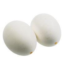 daiktų Vištienos kiaušinių baltymai 10vnt
