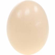 daiktų Vištienos kiaušinių kremas Velykų dekoras Blown Eggs 10vnt