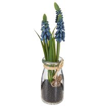 daiktų Hiacintas dirbtinis Perlinis hiacintas mėlynas stiklinėje H22cm 2vnt