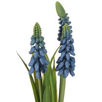 daiktų Hiacintas dirbtinis Perlinis hiacintas mėlynas stiklinėje H22cm 2vnt