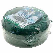 daiktų OASIS® IDEAL universalus gėlių putplasčio žiedas žalias Ø27,5 cm 3 vnt.