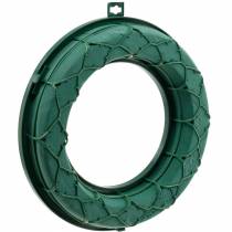 daiktų OASIS® IDEAL universalus gėlių putplasčio žiedas žalias Ø27,5 cm 3 vnt.