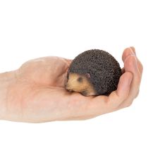 daiktų Ežio dekoratyvinė figūrėlė, maža stalo dekoracija rudeniui, 8 cm