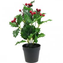 Holly vazone dirbtiniai augalai Ilex dirbtinis 26cm