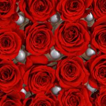 daiktų „Infinity Roses“ tikros gėlės, mini rožių galvutės, raudonos, Ø3cm, 16 vnt.