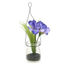 daiktų Iris alyvinė stiklinėje pakabinimui H21,5cm