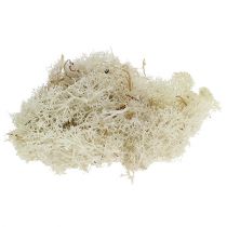 Samanos Islandijos samanos balintos 400g