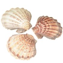 daiktų Tikros šukutės natūralios – jūrinio skonio natūralios 1 kg