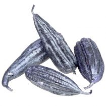 Luffa vaisinė violetinė 14cm - 20cm 10vnt