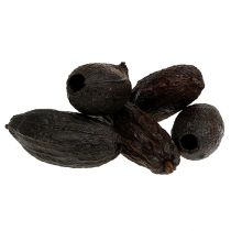 daiktų Kakaviniai vaisiai natūralūs 10-18cm 15 vnt