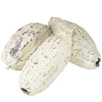 daiktų Kakavos ankštys, nubalintos, 15 vnt.