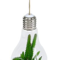 daiktų Kaktusai stiklinėje pakabinti 21cm