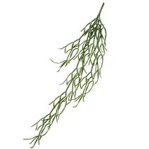 Kaktusų kabykla 115cm žalia