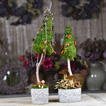 daiktų Keraminis indas, gėlių vazonas su ąžuolo dekoru, vazonas žalias/baltas/pilkas Ø13cm H11,5cm rinkinys iš 3 vnt.