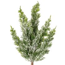 daiktų Dirbtiniu sniegu padengta pušies šaka gėlių kompozicijoms ir Advento dekoracijoms, 40 cm, 3 vnt.