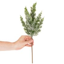 daiktų Dirbtiniu sniegu padengta pušies šaka gėlių kompozicijoms ir Advento dekoracijoms, 40 cm, 3 vnt.