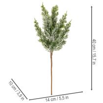 daiktų Dirbtiniu sniegu padengta pušies šaka gėlių kompozicijoms ir Advento dekoracijoms, 40 cm, 3 vnt.