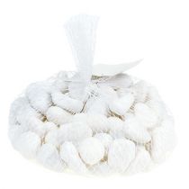 daiktų Akmenukai tinkle Baltas 2,5cm - 4cm 1kg