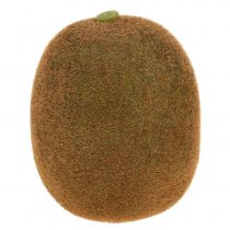 Kiwi 7,5 cm