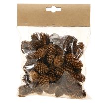 daiktų Maži dekoratyviniai natūralūs cūgos kankorėžiai Advent 3-4cm 100g