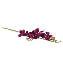 daiktų Maža orchidėja Phalaenopsis dirbtinė gėlė tamsiai violetinė 30cm