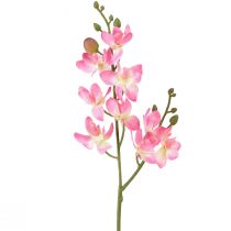 Maža Orchid Phalaenopsis Dirbtinė gėlė Rožinė 30cm