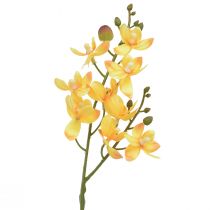 daiktų Maža orchidėja Phalaenopsis dirbtinė geltona 30cm