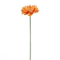 daiktų Dirbtinės gėlės Gerbera Orange 45cm