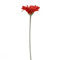 daiktų Dirbtinės gėlės Gerbera Red 45cm