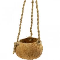 daiktų Pakabinamas kokosinis dubuo, natūralaus augalo dubuo, pakabinamas krepšelis Ø8cm L55cm