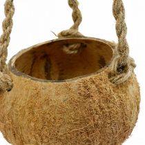daiktų Pakabinamas kokosinis dubuo, natūralaus augalo dubuo, pakabinamas krepšelis Ø8cm L55cm