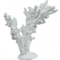 Jūrinės dekoracijos koralų baltumo dirbtinės dekoracijos stovas 11×12cm