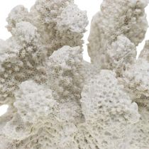 Jūrinė dekoracija koralų baltumo dirbtinis polirezinas mažas 13,5x12 cm