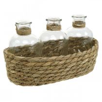 Dekoratyvinis krepšelis su 3 buteliais stalo puošmena natūrali jūros žolė 22×11,5×14 cm