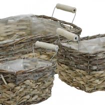 Augalų krepšelis su rankenėlėmis, kvadratinis krepšio dubuo, natūrali sodinamoji sėjamoji skurdžiai prašmatniai skalbta balta L30/25,5/21 cm H12/11/10 cm 3 vnt.