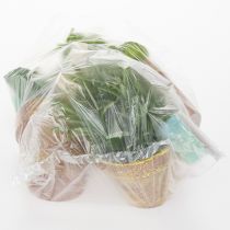 daiktų Dirbtinių žolelių vazonas su dekoratyvinėmis žolelėmis virtuvei, sodui, balkonui ar terasai, 15 m³, 3 vnt.