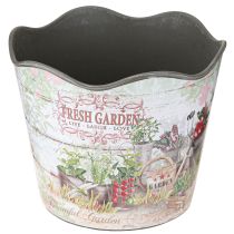 daiktų Vazonas su žolelėmis vazonas plastikinis Fresh Garden H13,5cm 2vnt