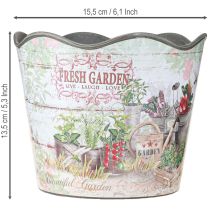 daiktų Vazonas su žolelėmis vazonas plastikinis Fresh Garden H13,5cm 2vnt
