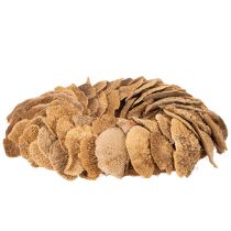 daiktų Medžių grybų vainikas, natūralios spalvos, durų ar sienų dekoravimui, 37 cm