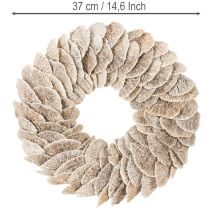 daiktų Vainiko medžio kempinė, natūrali dekoracija, 37 cm