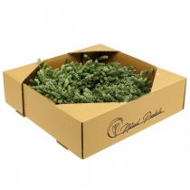 daiktų Kalėdinio vainiko dekoracija žalias džiovintų gėlių vainikas durų vainikas linų žolelių šventinis Ø34cm