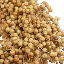 daiktų Boho dekoratyvinis vainikas, lininis dekoratyvinis vainikas, natūralus vainikas, sausas, Ø28cm