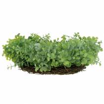 daiktų Vainikas eukalipto žalias Ø36cm