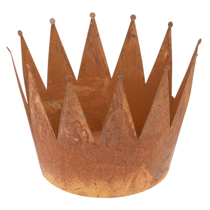 Augalų vazonas rūdžių dekoratyvinis dubuo metalinis dekoratyvinis vainikas vintage Ø30cm