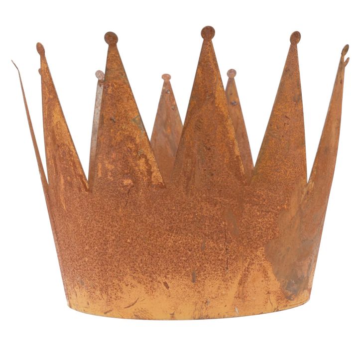 Augalų vazonas rūdžių dekoratyvinis dubuo metalinis dekoratyvinis vainikas vintage Ø30cm