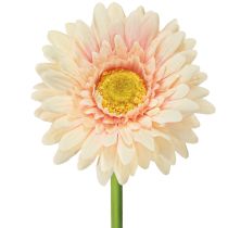 Dirbtinės gėlės Gerbera Abrikosas 47cm