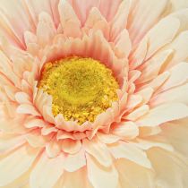 daiktų Dirbtinės gėlės Gerbera Abrikosas 47cm