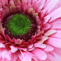 daiktų Dirbtinės gėlės Gerbera Garden Dirbtinės gėlės Rožinės 47cm